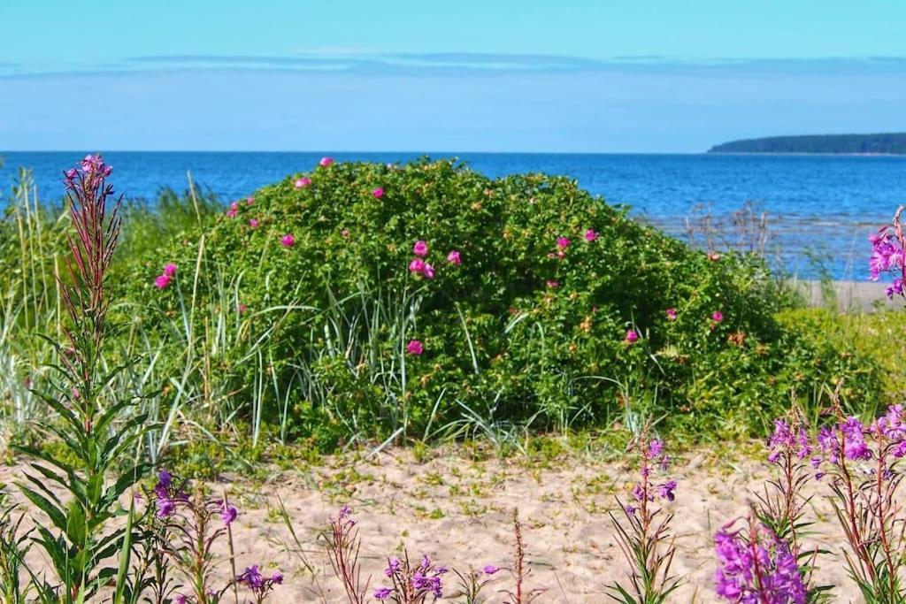 Well-Equipped Summerhouse With Sauna In Vosuアパートメント エクステリア 写真